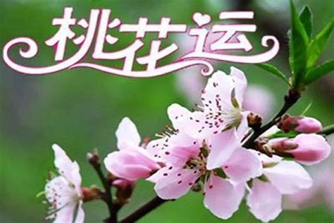 咸池桃花年|论咸池，八字神煞咸池桃花详解